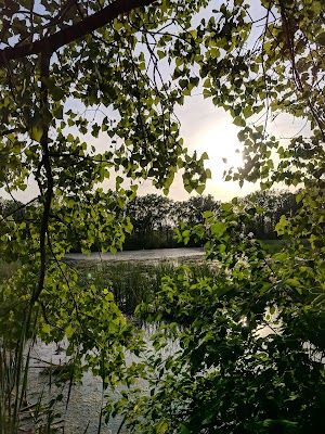 Menasha Conservancy Area - photo 31