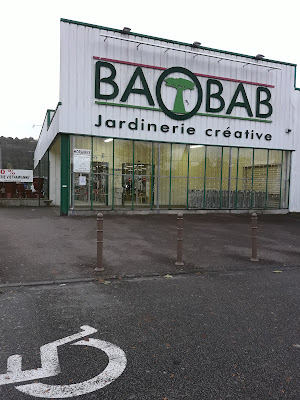 Baobab à Incarville