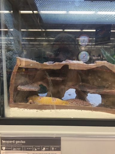 Pet Supply Store «Petco Animal Supplies», reviews and photos, 300 Hylan Dr, Rochester, NY 14623, USA