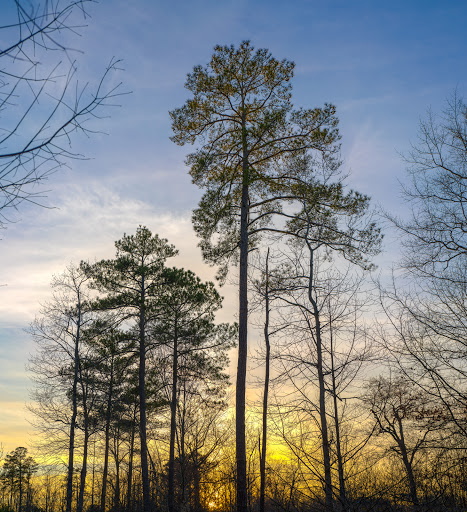 Park «Big Creek Park», reviews and photos, 1600 Old Alabama Rd, Roswell, GA 30076, USA