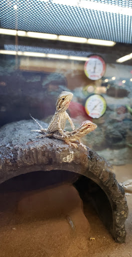 Pet Supply Store «Petco Animal Supplies», reviews and photos, 1320 E Lincoln Way p101, Sparks, NV 89434, USA