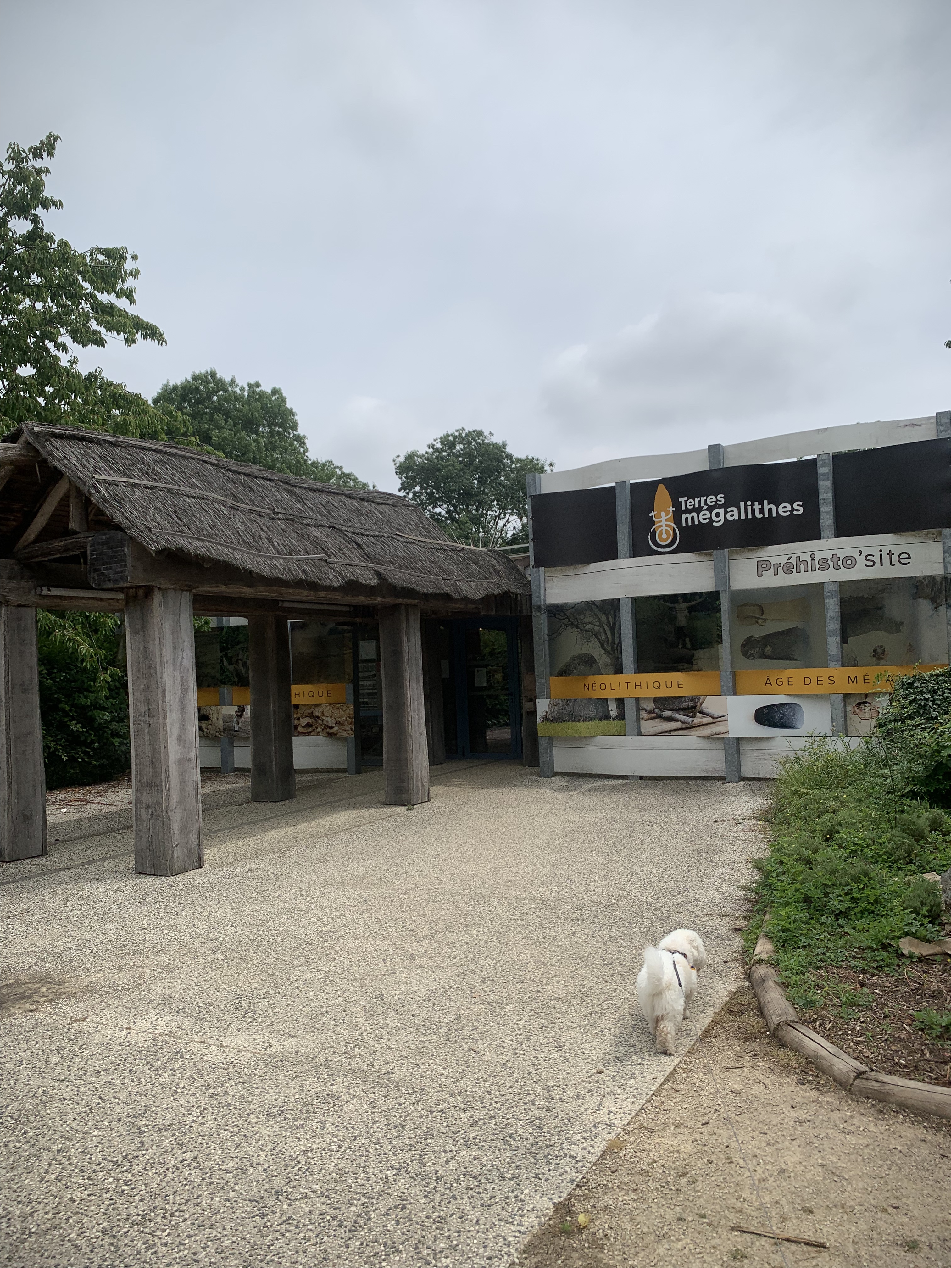 Photo n° 1 de l'avis de SR. fait le 16/06/2023 à 18:22
