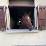 Photo n°6 de l'avis de Laura.i fait le 24/07/2022 à 09:46 sur le  Ristorante La Cassinazza à San Giuliano Milanese