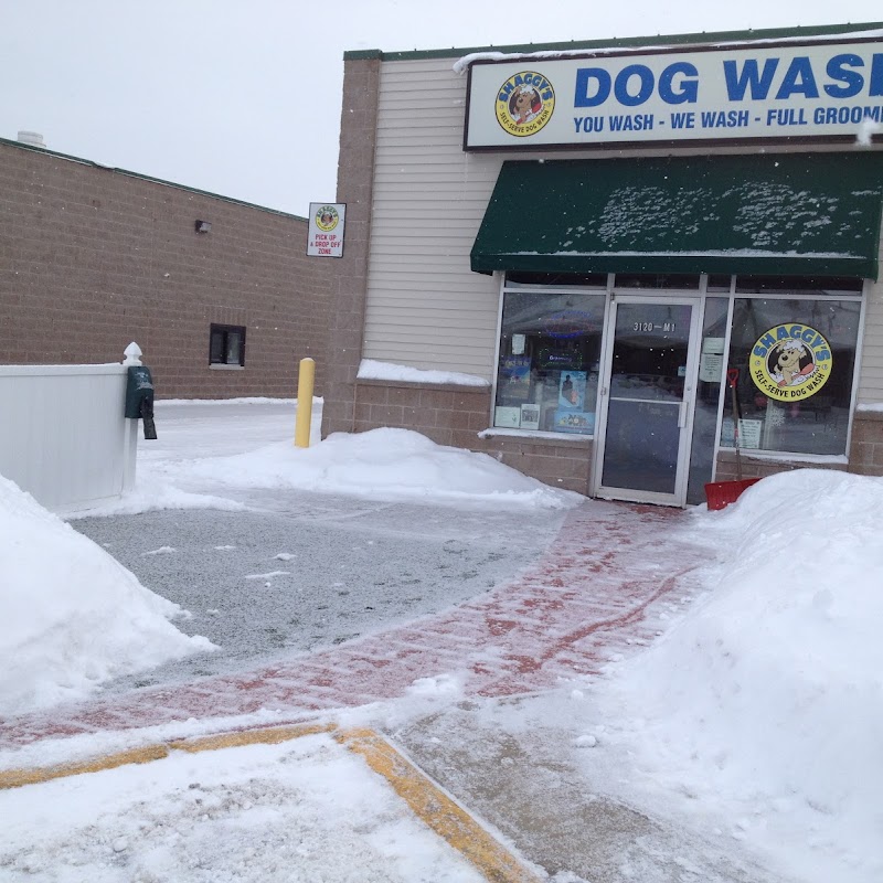 Shaggy's Dog Wash & Grooming