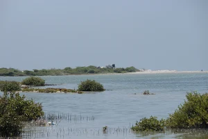 Thalaimannar Islands View Point image