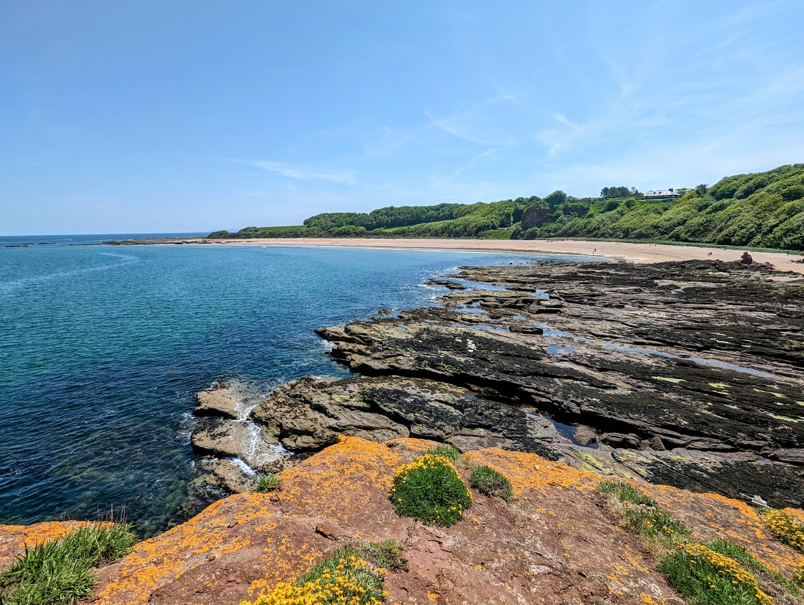 Foto von Seacliff Beach wilde gegend