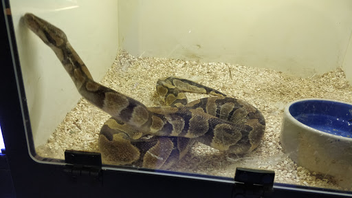 Pet Store «Chicago Bird House», reviews and photos, 14414 John Humphrey Dr, Orland Park, IL 60462, USA