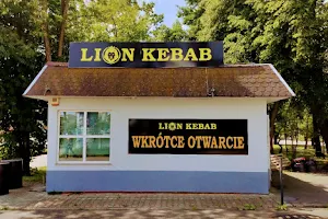 LION KEBAB image