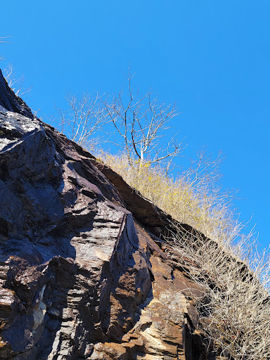 Tourist Attraction «French Broad Overlook», reviews and photos, 3938 Blue Ridge Pkwy, Arden, NC 28704, USA