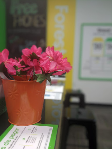 Cell Phone Store «Cricket Wireless Authorized Retailer», reviews and photos, 4192 Jonesboro Rd, Forest Park, GA 30297, USA