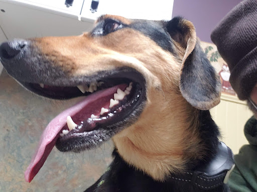 2046 Market St, Charlestown, IN 47111, USA