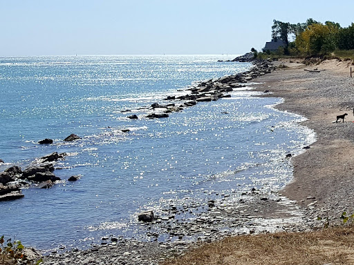 Nature Preserve «Kenosha Sand Dunes», reviews and photos, 7th Ave, Pleasant Prairie, WI 53158, USA