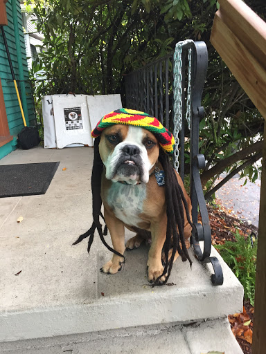 Thrift Store «Lucky Dog Clothing», reviews and photos, 8201 Greenwood Ave N, Seattle, WA 98103, USA