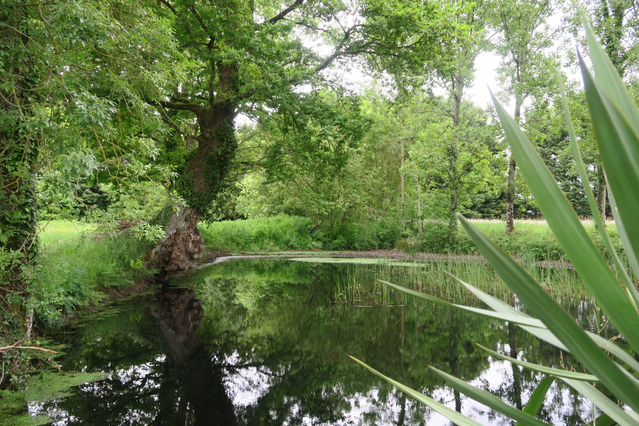 Photo n° 3 de l'avis de L-A. fait le 13/05/2019 à 13:35