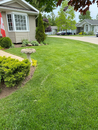 TruGreen Lawn Care Mississauga
