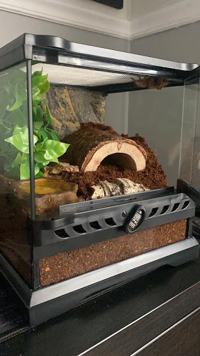 Pet Store «Birds & Beasts Pet Shop», reviews and photos, 35 Berkshire Dr # 18, Crystal Lake, IL 60014, USA