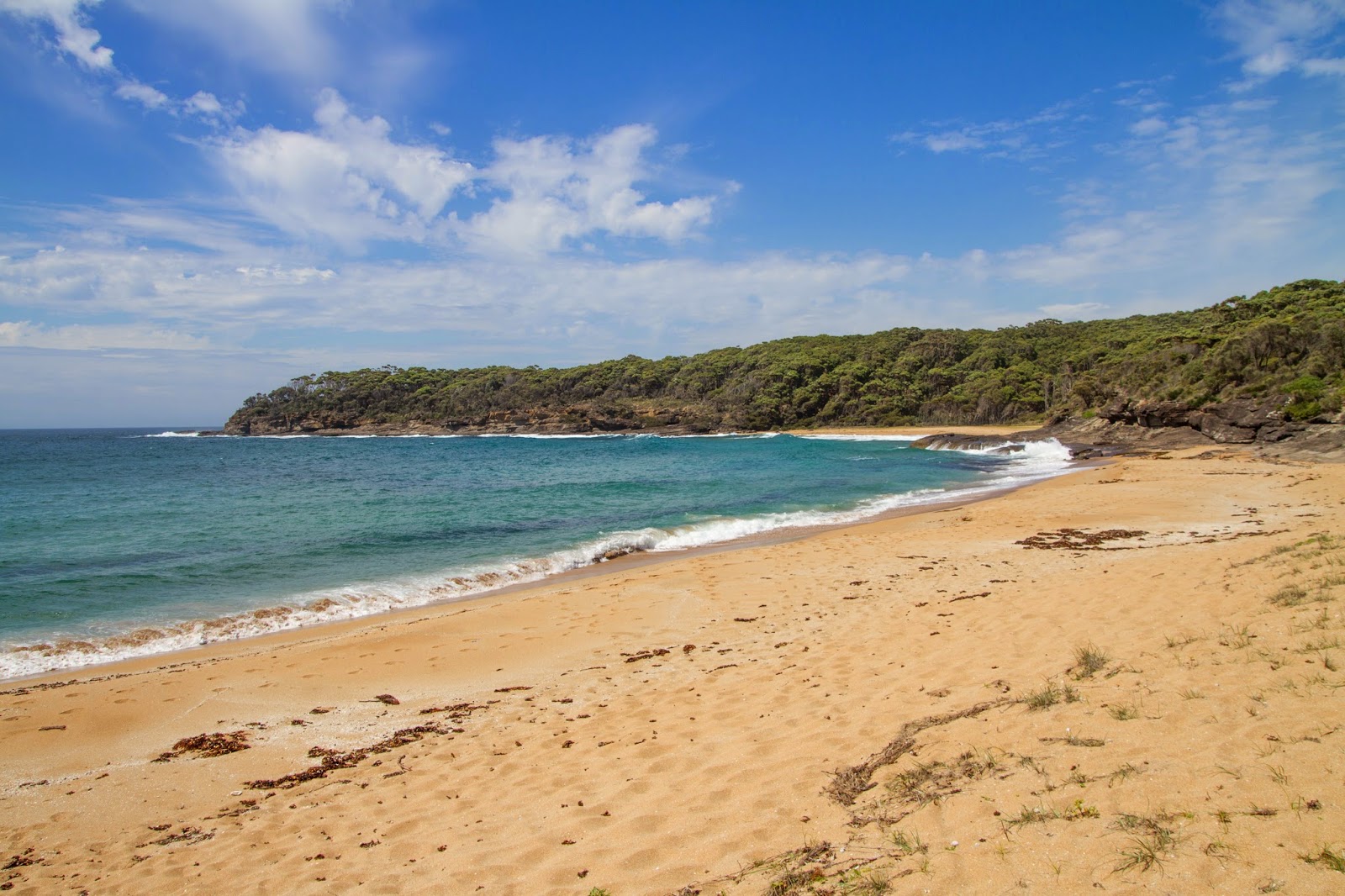 Emily Miller Beach'in fotoğrafı ve güzel manzarası