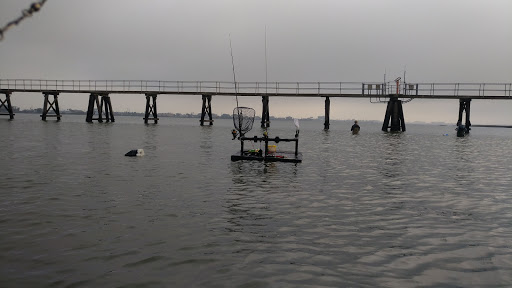 Public Golf Course «Moody Gardens Golf Course», reviews and photos, 1700 Sydnor Ln, Galveston, TX 77554, USA