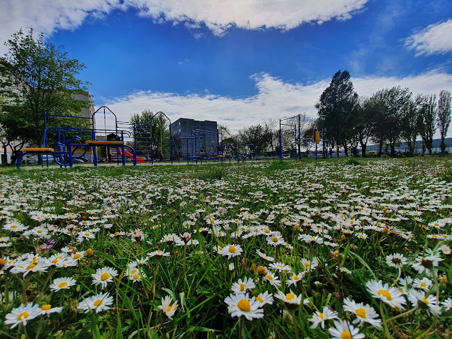 Értékelések erről a helyről: Játszótér és edzőpark, Győr - Sportpálya