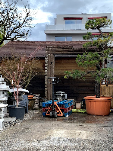 Rezensionen über Pépinières Bonsaï in Thônex - Gartenbauer