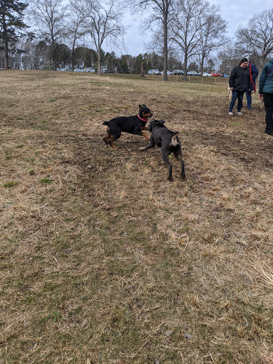 Water Park «Kannapolis Recreation Park», reviews and photos, 2225 Fowler St, Kannapolis, NC 28083, USA