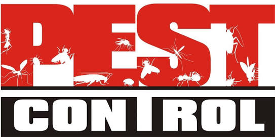 Reviews of World Class Pest Control in Wanaka - Pest control service