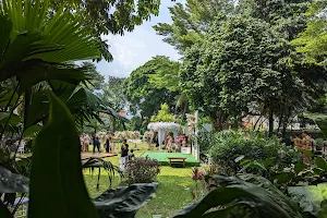 Indonesia Foundation of Botanical Gardens image