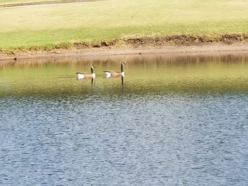 Country Club «St. Johns Golf & Country Club», reviews and photos, 205 St Johns Golf Dr, St Augustine, FL 32092, USA