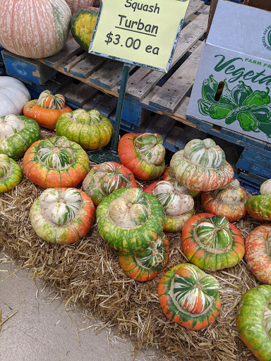 Produce Market «Produce Junction Inc», reviews and photos, 265 S Easton Rd, Glenside, PA 19038, USA