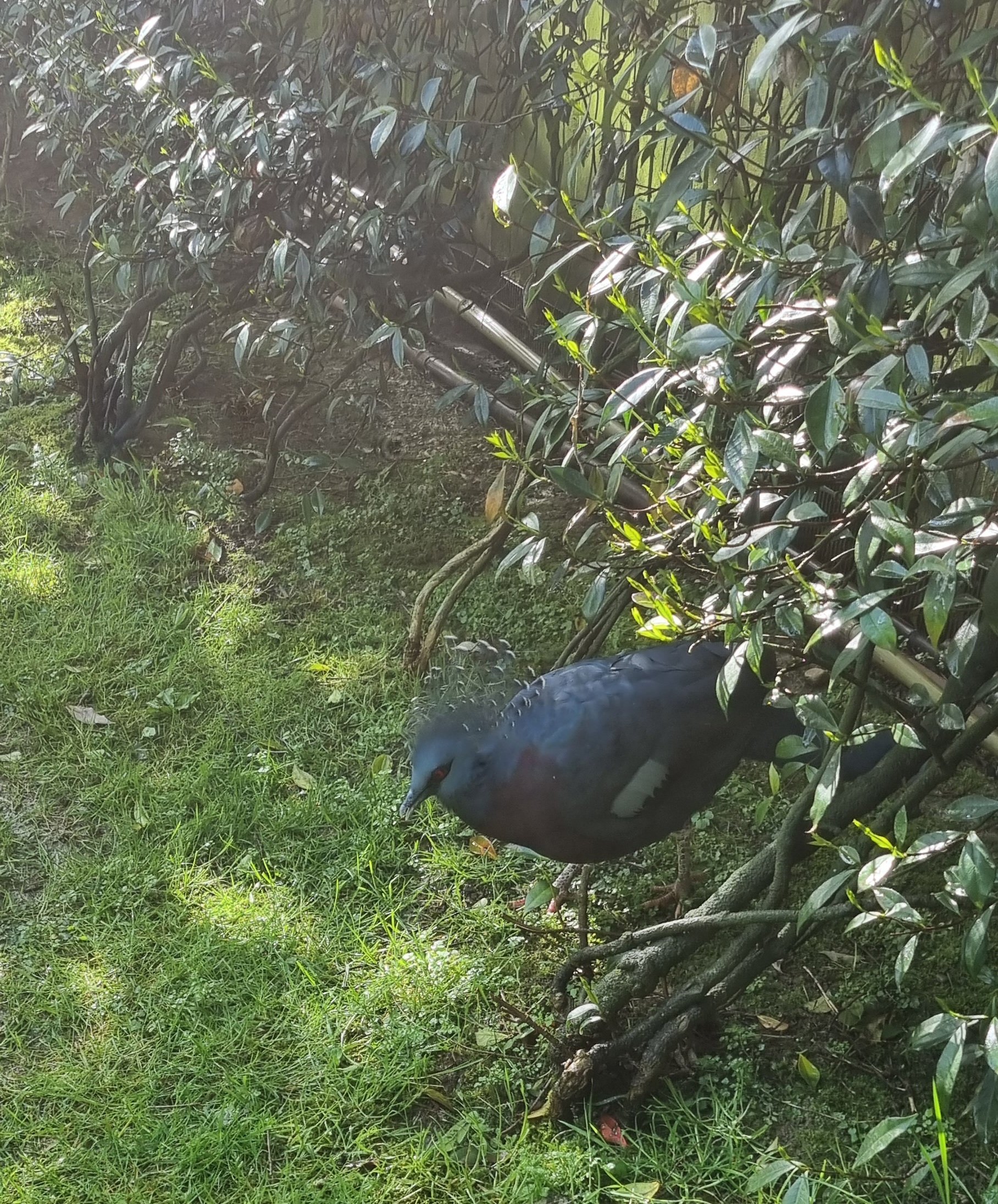 Photo n° 2 de l'avis de Anne.a fait le 25/04/2022 à 13:04