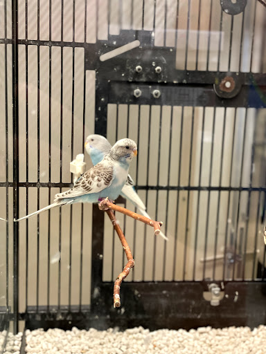 Pet Supply Store «PetSmart», reviews and photos, 8281 Troy Pike, Huber Heights, OH 45424, USA