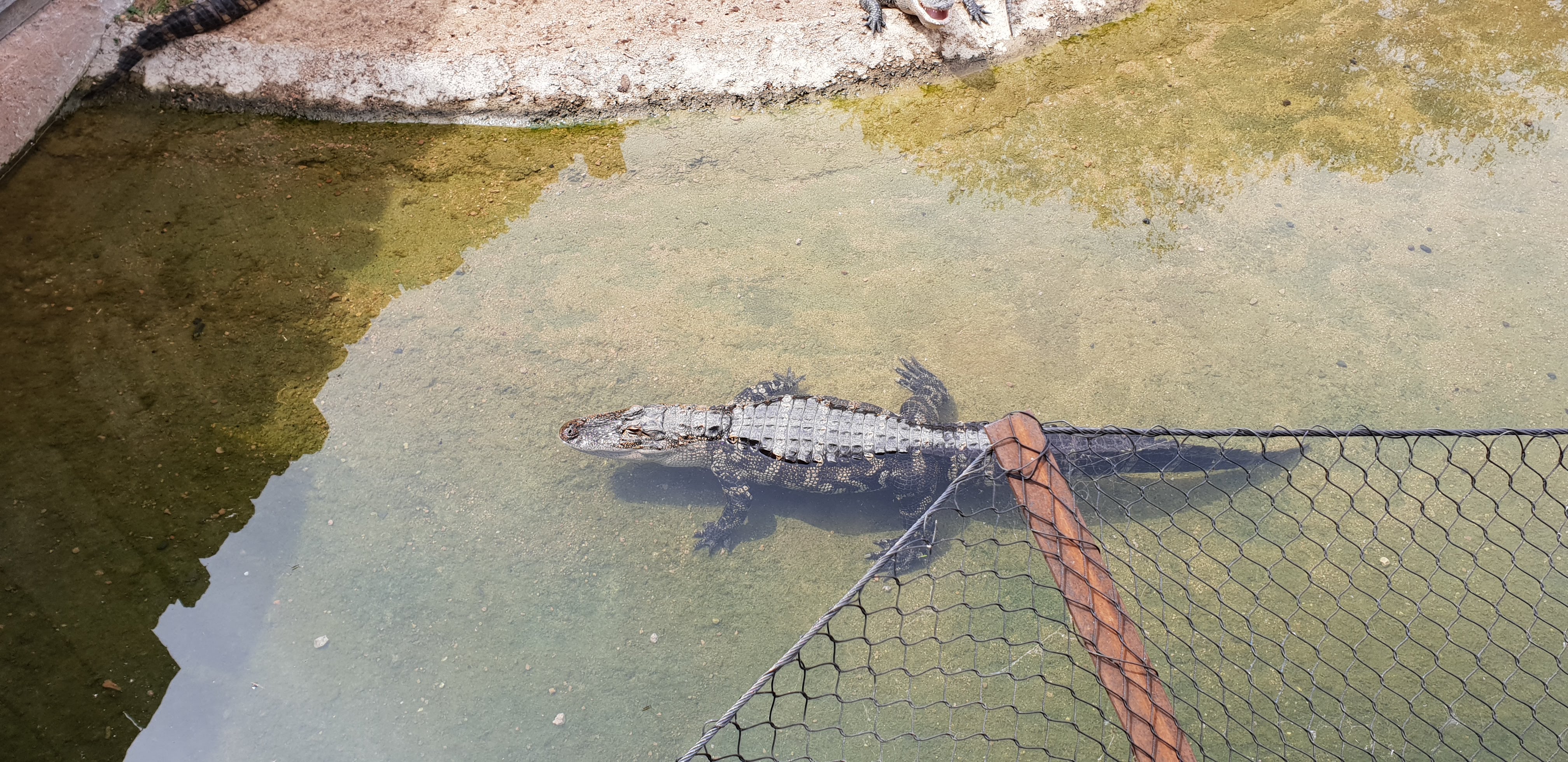 Photo n° 7 de l'avis de Florian.o fait le 24/07/2018 à 18:20