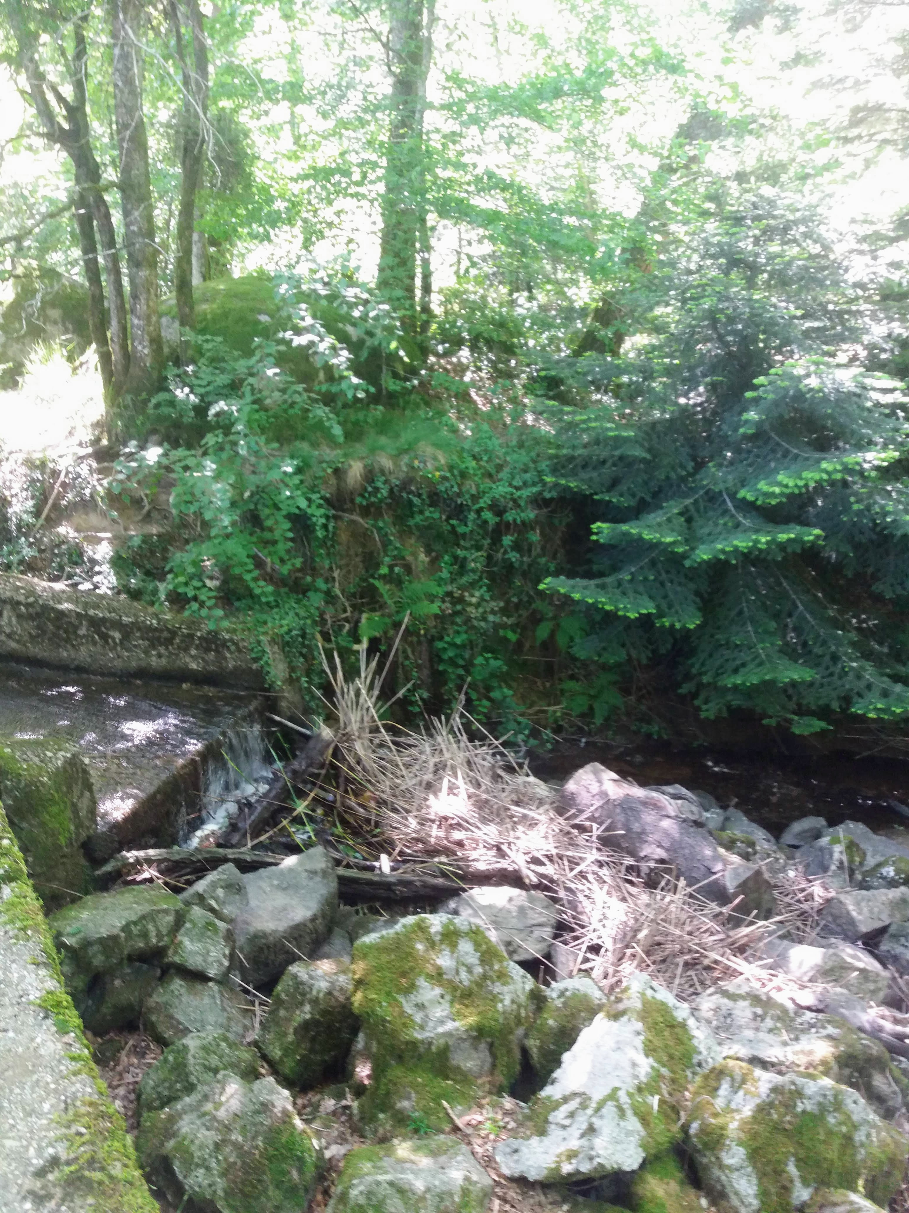 Photo n° 6 de l'avis de Carole.A fait le 03/06/2019 à 15:30
