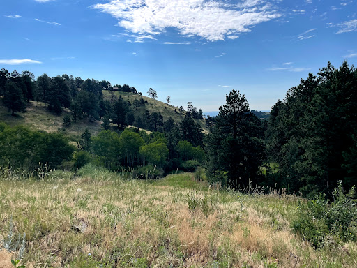Enchanted Forest Trailhead