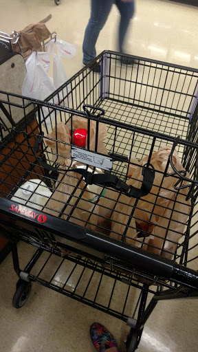 Grocery Store «Safeway», reviews and photos, 1540 Main St, Sweet Home, OR 97386, USA