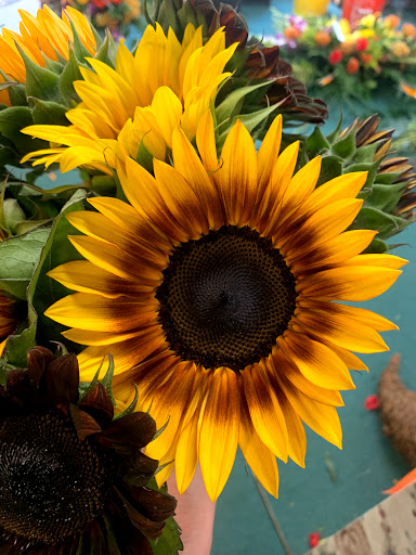 Florist «Blooms Of Wayne», reviews and photos, 2075 Hamburg Turnpike, Wayne, NJ 07470, USA