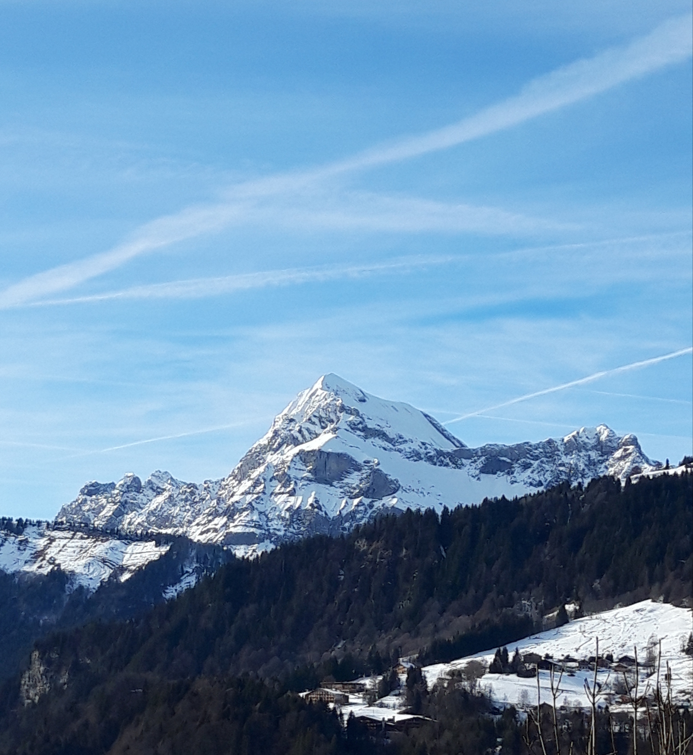 Photo n° 2 de l'avis de Jérôme.e fait le 29/12/2018 à 10:01