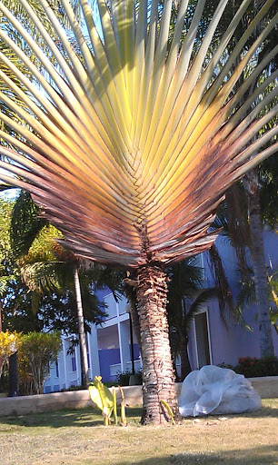 Furniture Store «Spencer Furniture», reviews and photos, 6 Olde Main St, Spencer, MA 01562, USA