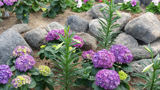 Botanical Garden «Mitchell Park Horticultural Conservatory», reviews and photos, 524 S Layton Blvd, Milwaukee, WI 53215, USA