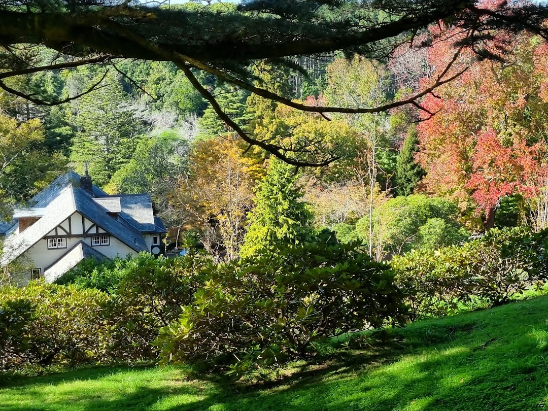 New Plymouth, Yeni Zelanda
