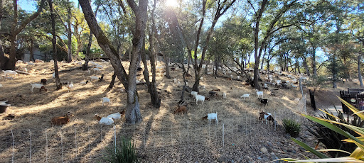 Tennis Court «Rollingwood Athletic Club», reviews and photos, 9373 Winding Oak Dr, Fair Oaks, CA 95628, USA