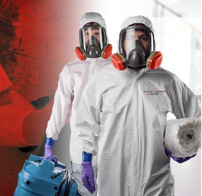 Mold Removal London