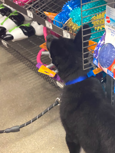 Pet Supply Store «Petco Animal Supplies», reviews and photos, 3430 W State St, Grand Island, NE 68803, USA