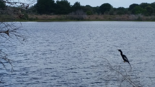 Nature Preserve «Marshall Hampton Reserve», reviews and photos, 3115 Thornhill Rd, Winter Haven, FL 33880, USA