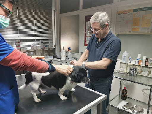 Veterinarian R. Coels unter Mainz, Rheinland-Pfalz
