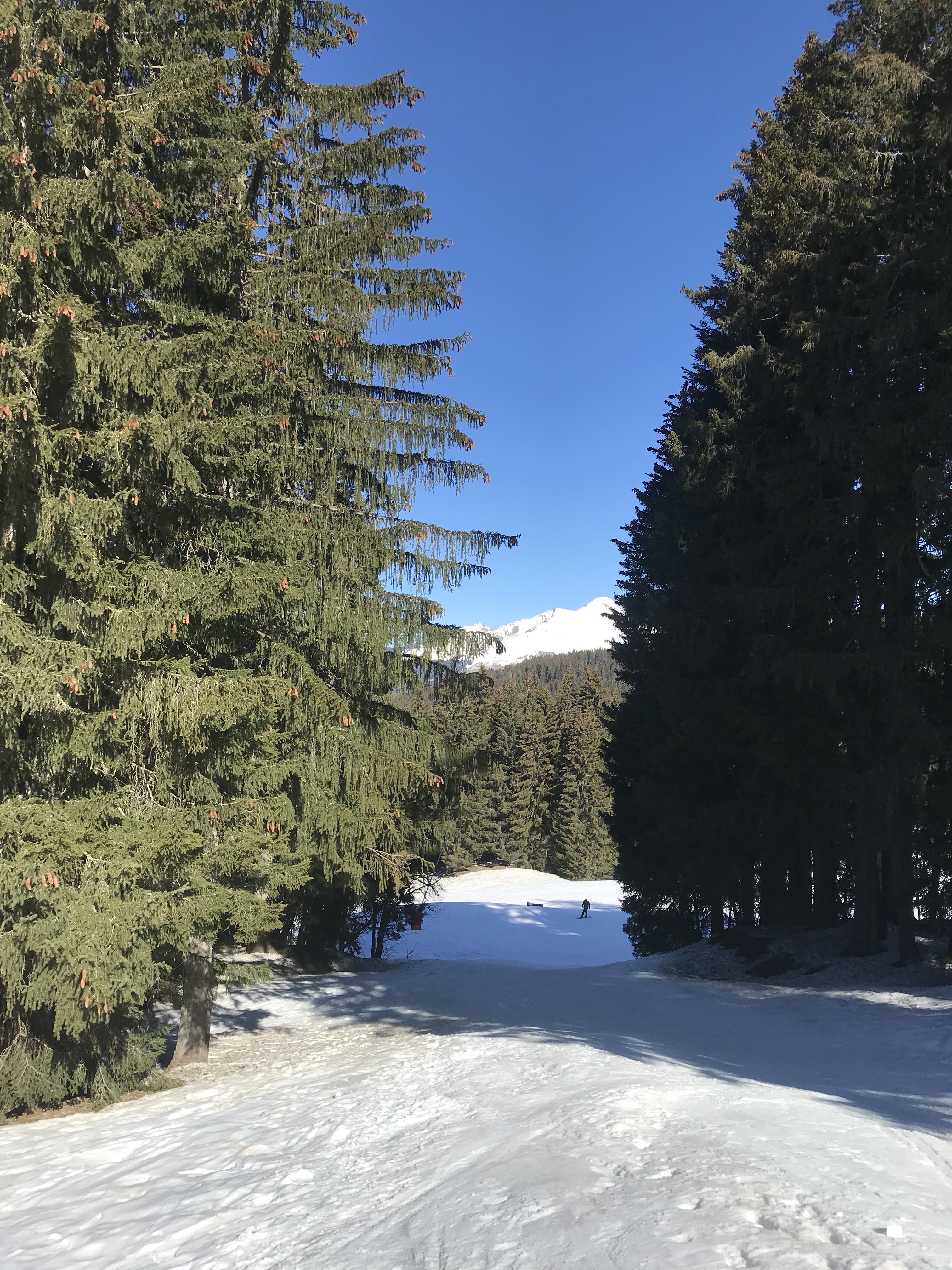 Photo n° 2 de l'avis de Gaspard.e fait le 22/03/2021 à 09:29