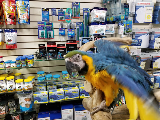 Pet Supply Store «The Animal Store», reviews and photos, 4364 Touhy Ave, Lincolnwood, IL 60712, USA