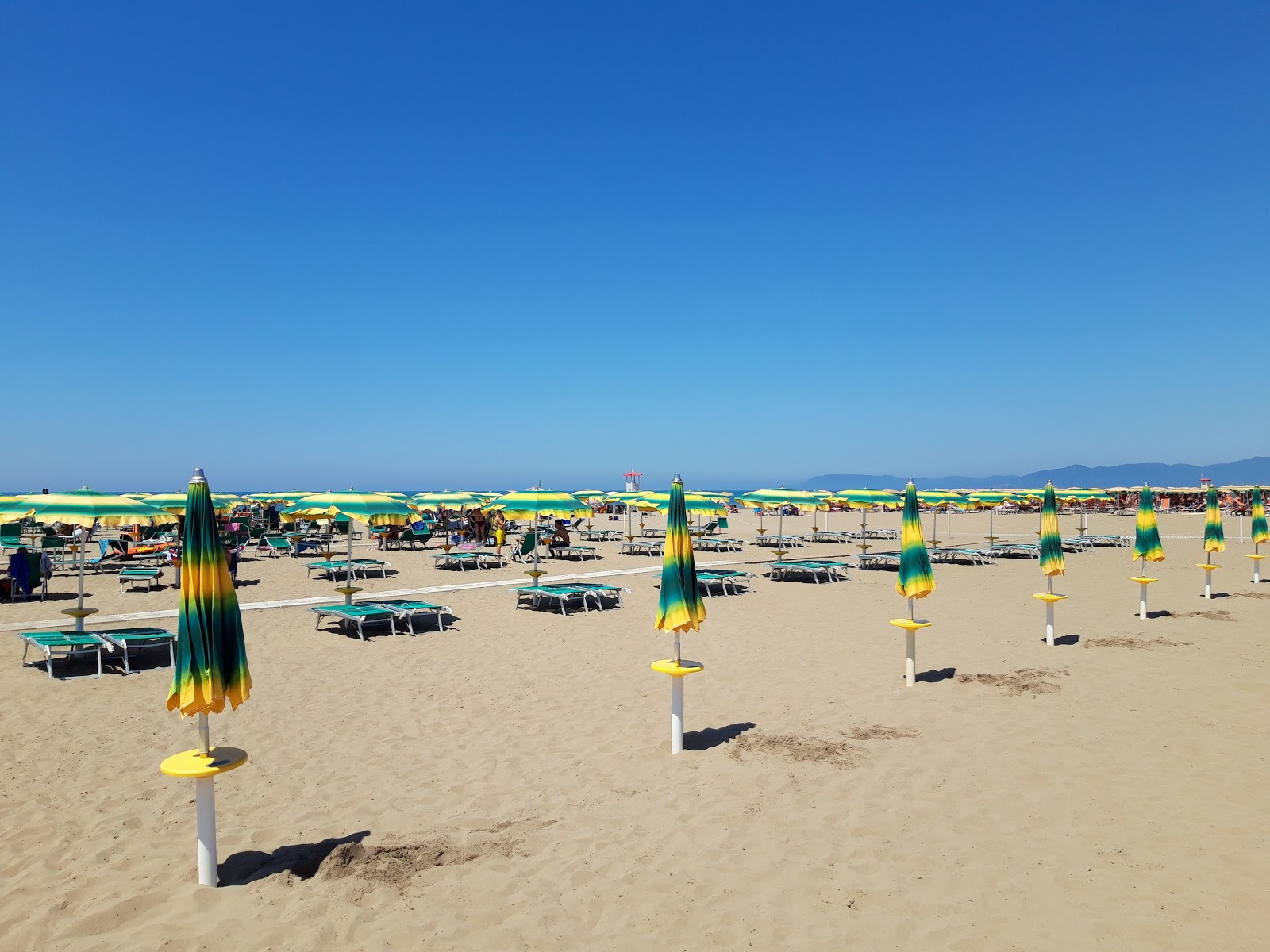 Spiaggia Principina a Mare的照片 位于自然区域