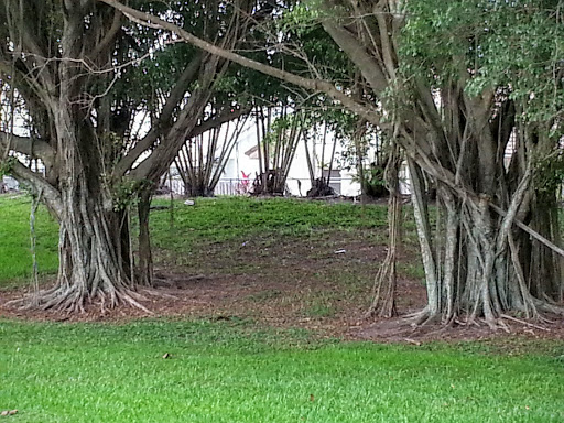 Park «Sunset Park», reviews and photos, 10600 Cleary Blvd, Plantation, FL 33324, USA