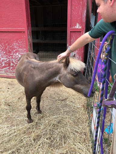 Animal Shelter «Animal Adventures Family Zoo & Rescue Center», reviews and photos, 336 Sugar Rd, Bolton, MA 01740, USA